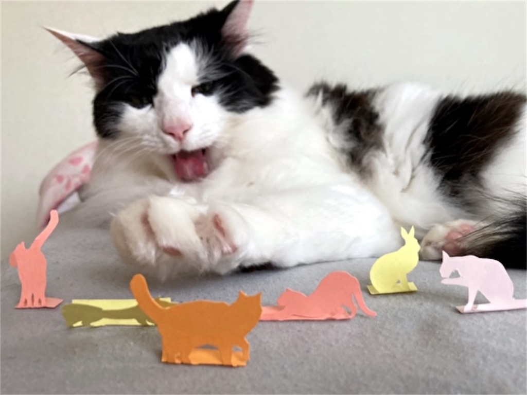 f:id:fukufukudo:20210508202829j:plain