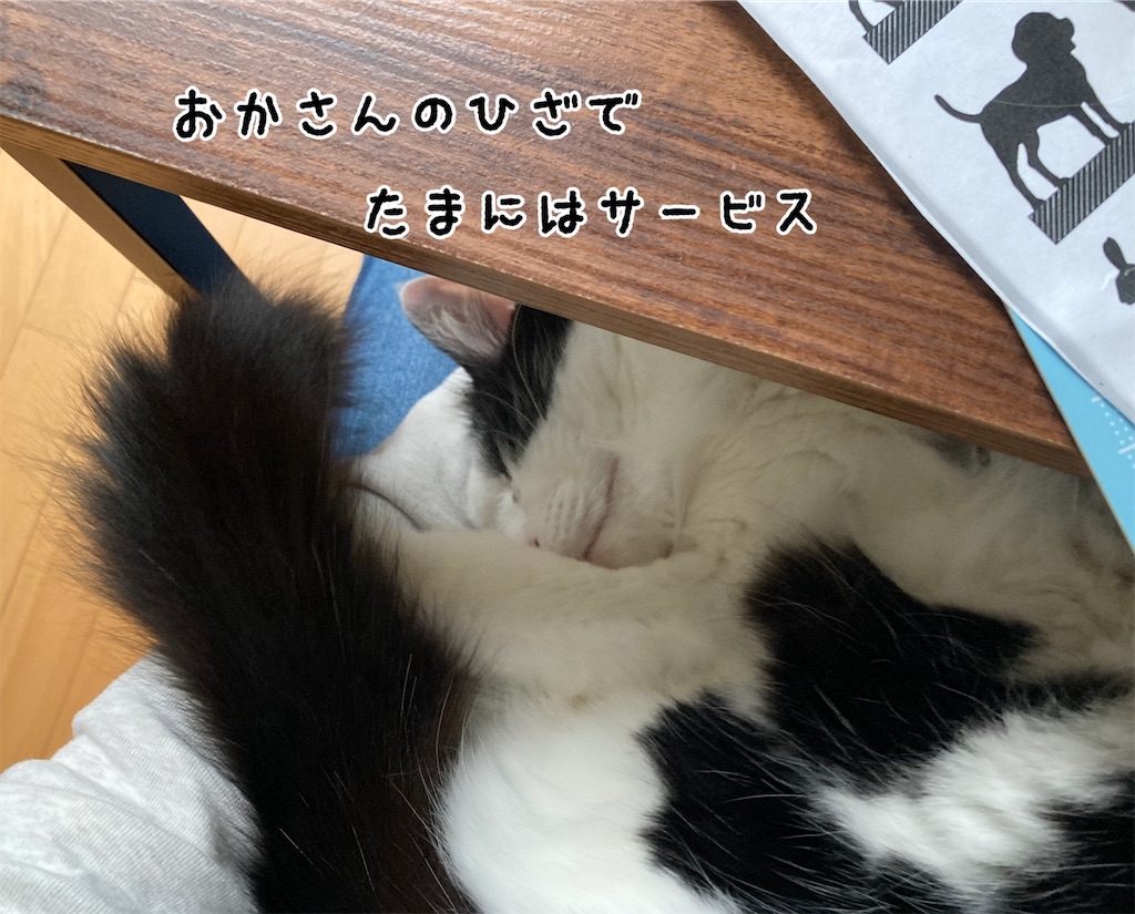 f:id:fukufukudo:20210511152108j:plain