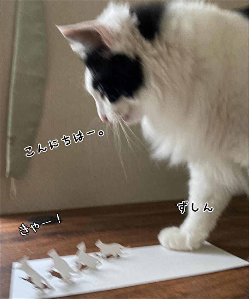 f:id:fukufukudo:20210515214119j:plain