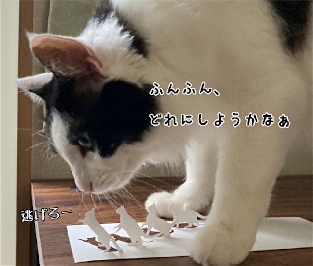 f:id:fukufukudo:20210515214132j:plain