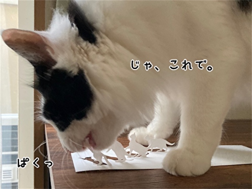 f:id:fukufukudo:20210515214144j:plain