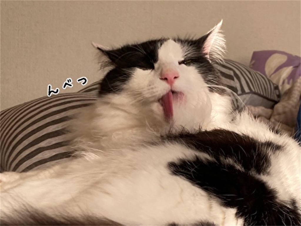 f:id:fukufukudo:20210516125343j:plain