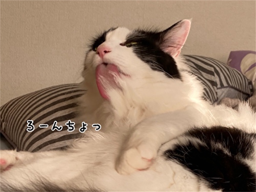 f:id:fukufukudo:20210516125353j:plain