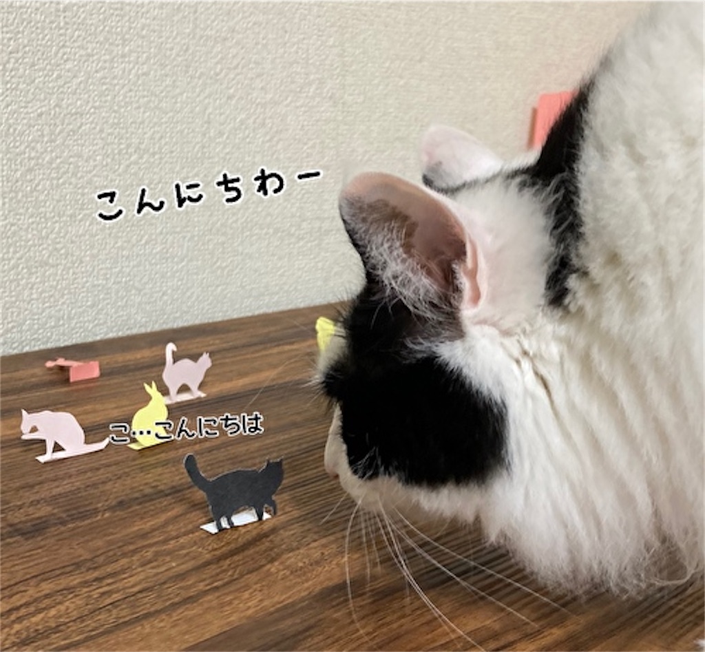 f:id:fukufukudo:20210519151927j:plain