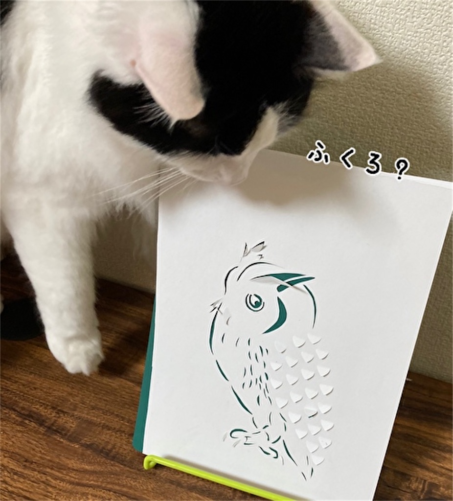 f:id:fukufukudo:20210522151440j:plain