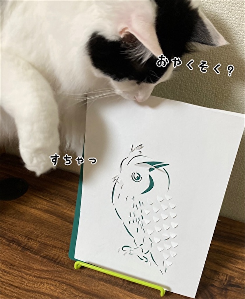 f:id:fukufukudo:20210522151450j:plain