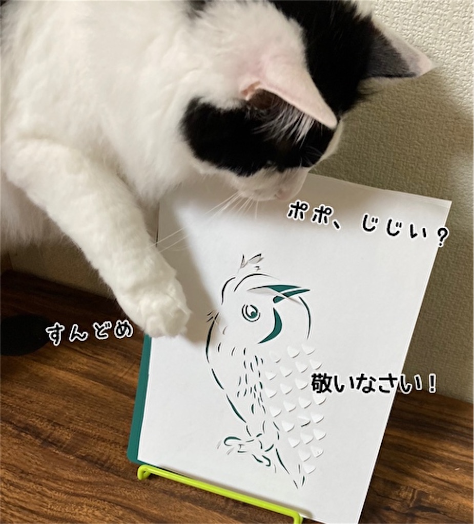 f:id:fukufukudo:20210522151459j:plain