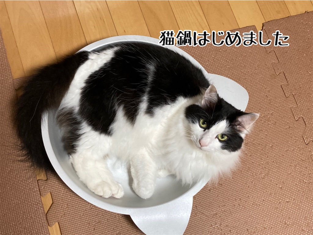 f:id:fukufukudo:20210528193412j:plain