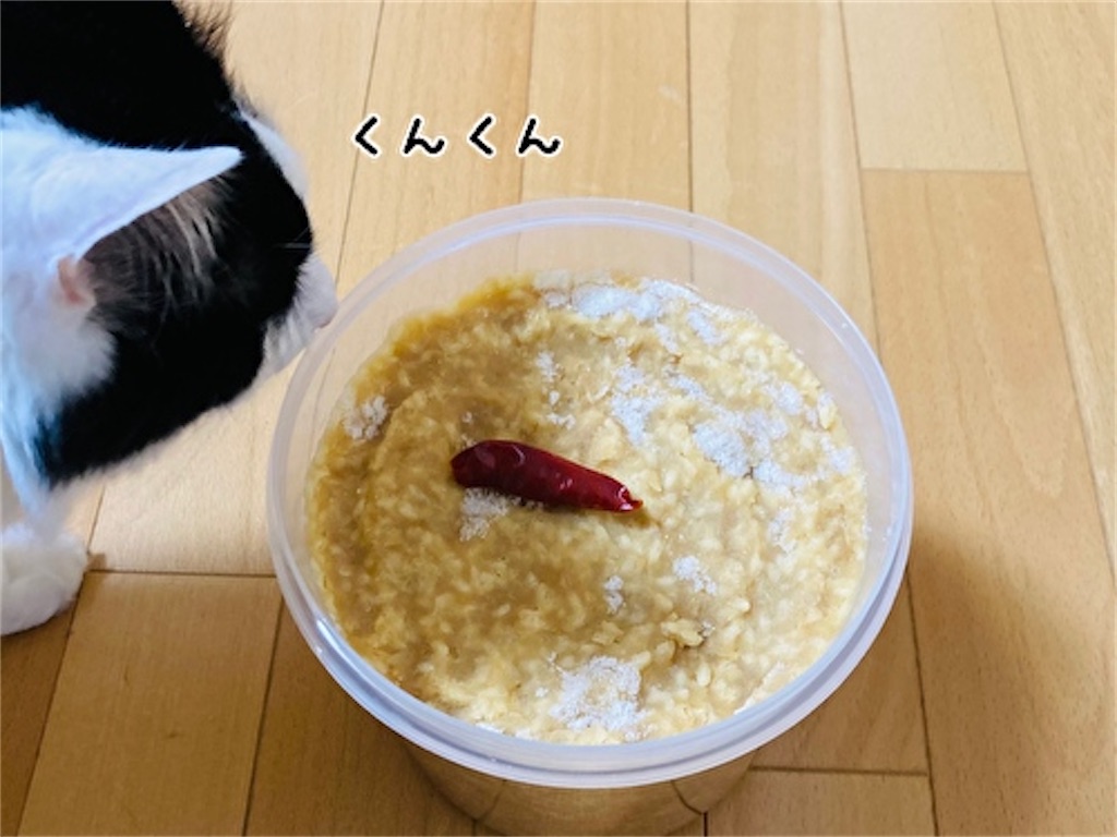 f:id:fukufukudo:20210531121919j:plain