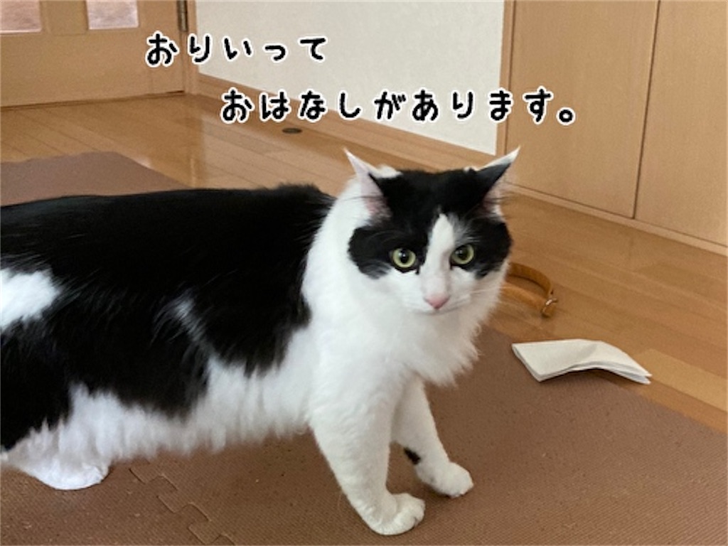 f:id:fukufukudo:20210531152446j:plain