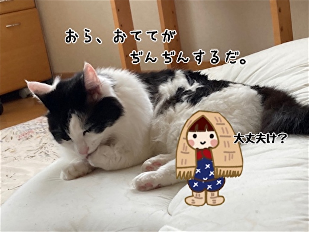 f:id:fukufukudo:20210604160048j:plain