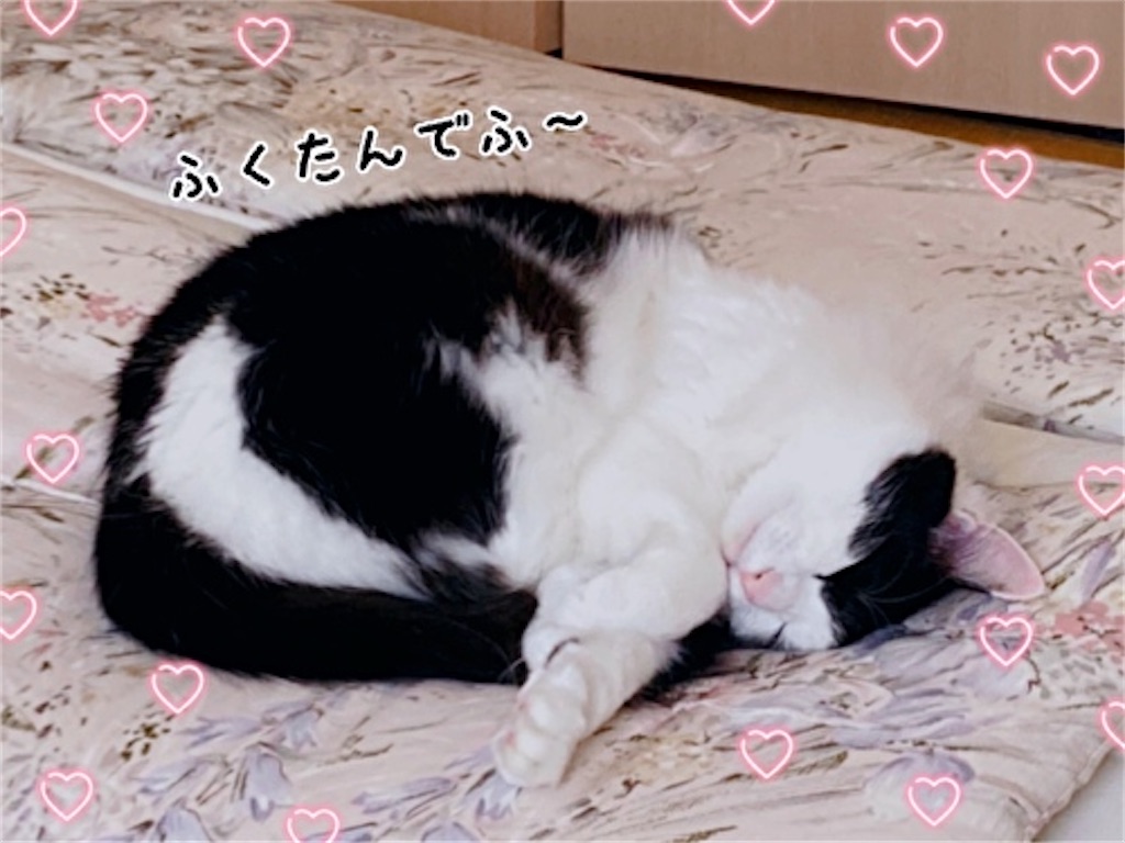 f:id:fukufukudo:20210606074039j:plain