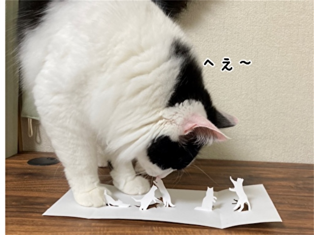 f:id:fukufukudo:20210609112854j:plain