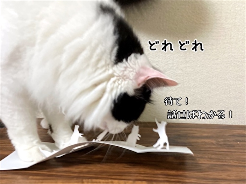 f:id:fukufukudo:20210609112913j:plain