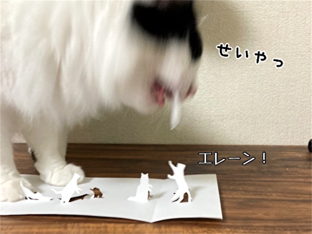 f:id:fukufukudo:20210609112957j:plain
