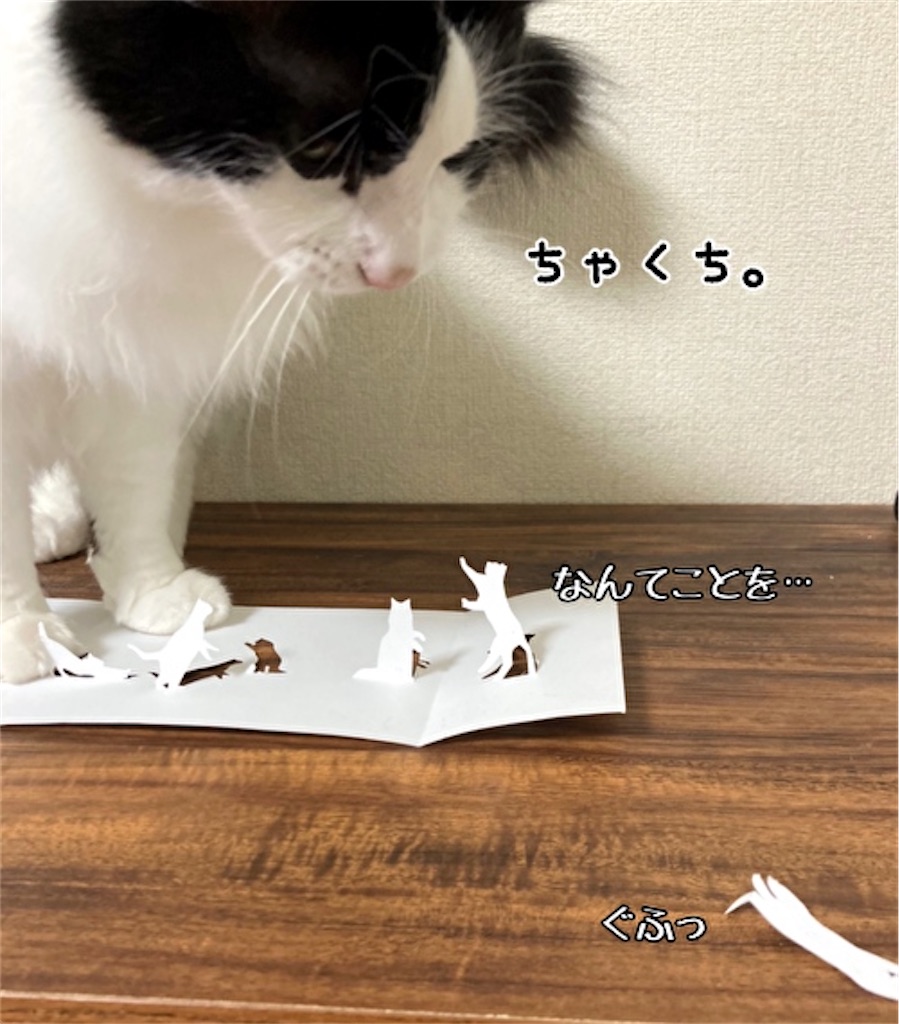 f:id:fukufukudo:20210609113021j:plain