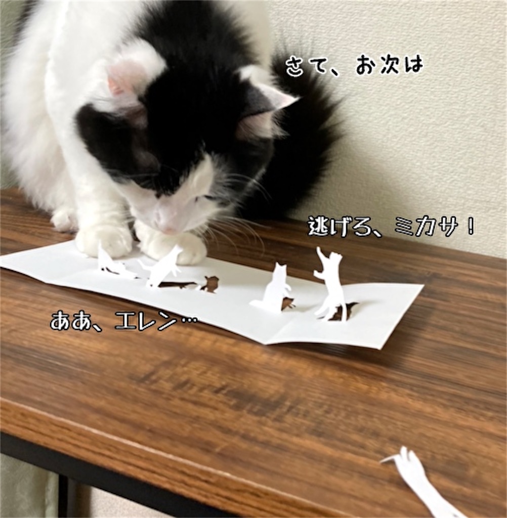 f:id:fukufukudo:20210609113039j:plain