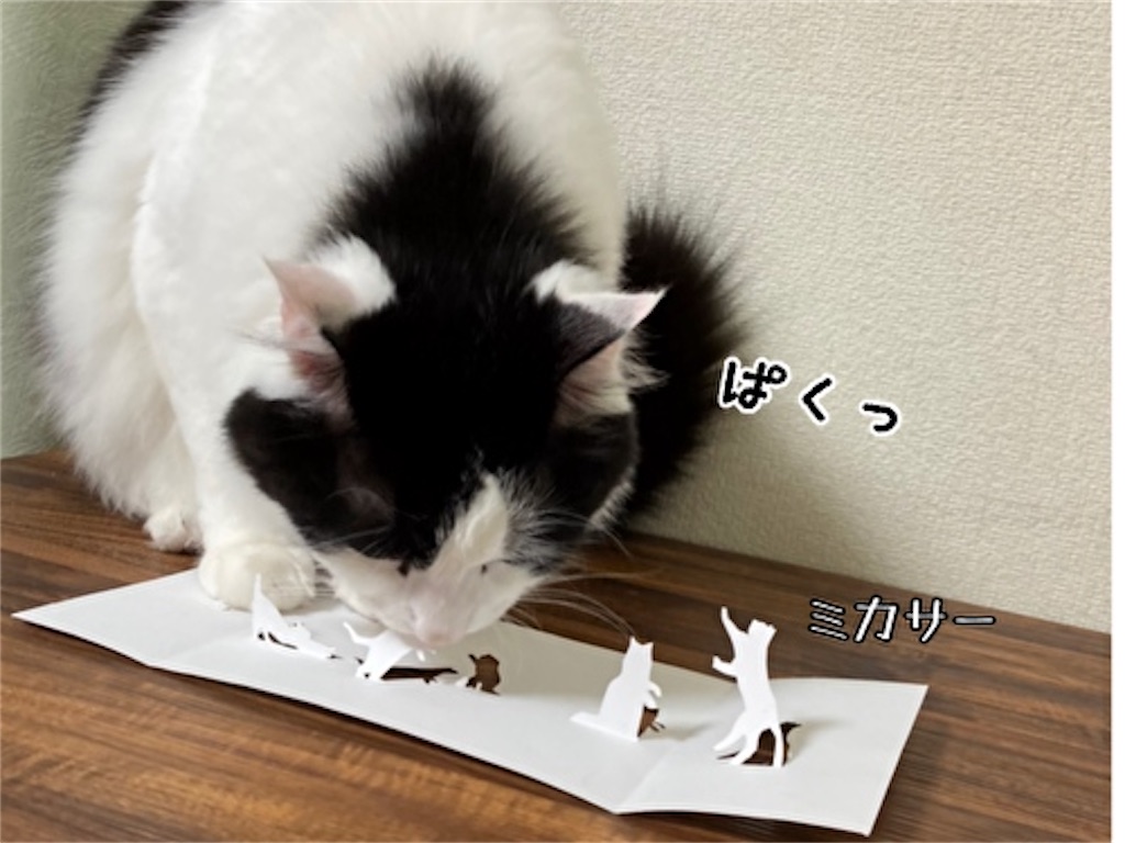 f:id:fukufukudo:20210609113048j:plain