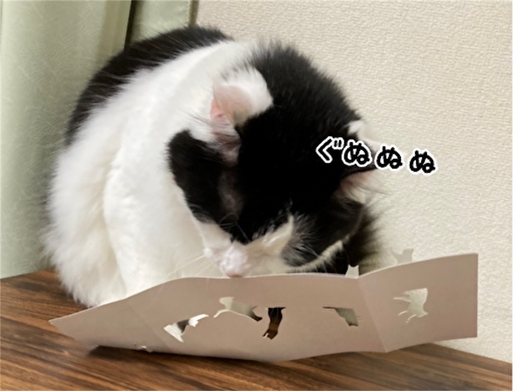 f:id:fukufukudo:20210609113058j:plain