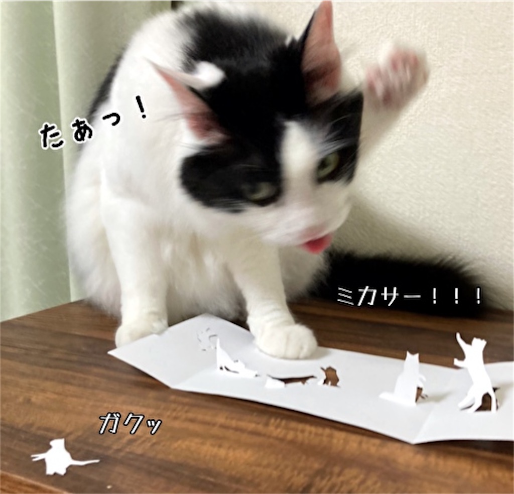 f:id:fukufukudo:20210609113108j:plain