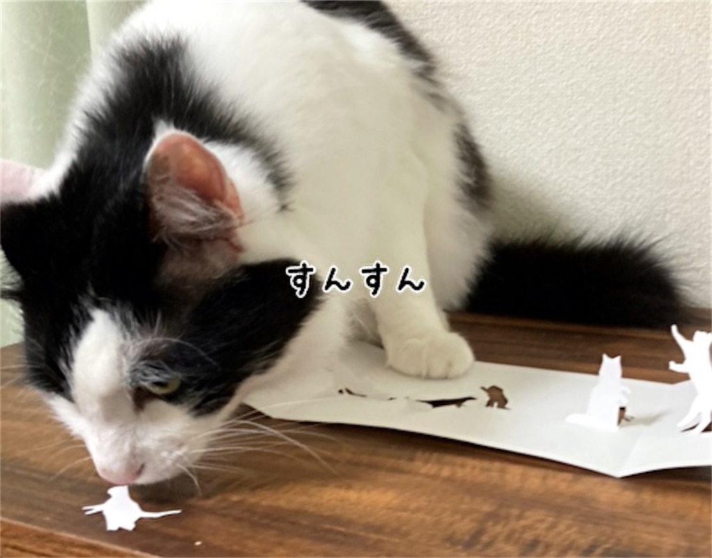 f:id:fukufukudo:20210609113125j:plain