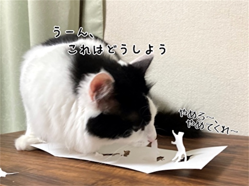 f:id:fukufukudo:20210609113130j:plain