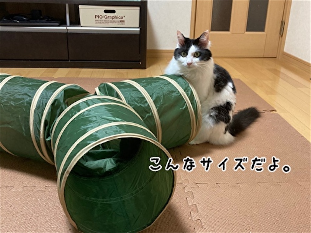 f:id:fukufukudo:20210611184713j:plain