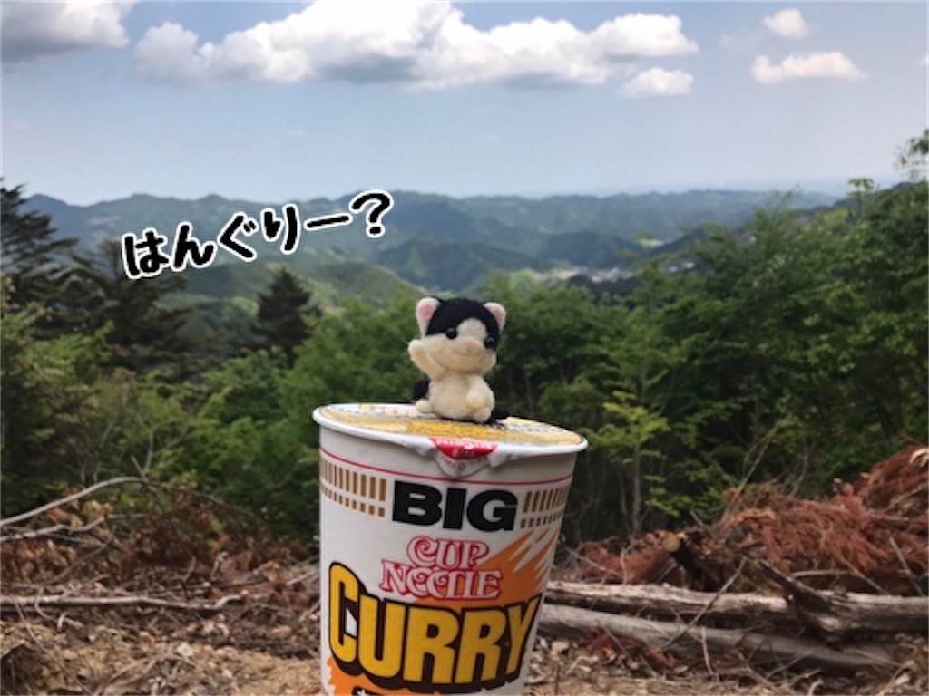 f:id:fukufukudo:20210617151108j:plain