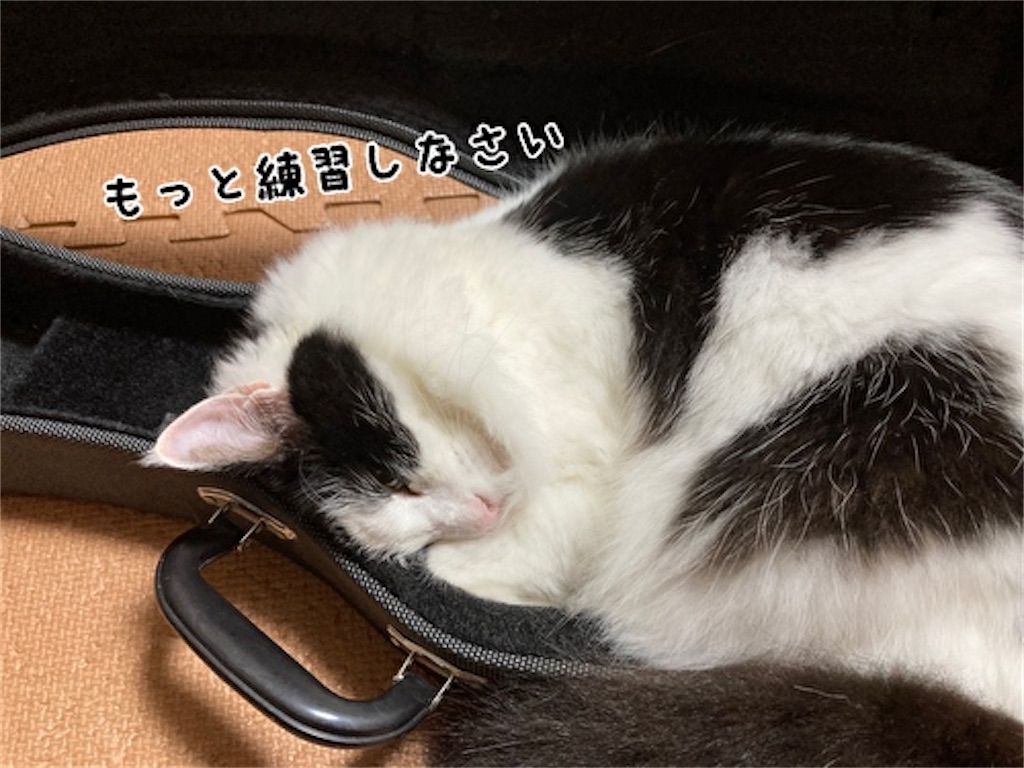 f:id:fukufukudo:20210621150757j:plain