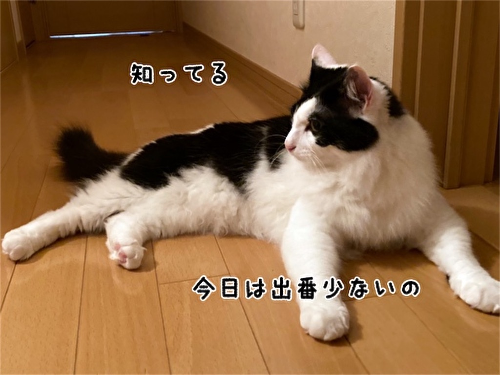 f:id:fukufukudo:20210628192428j:plain