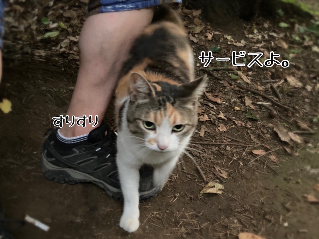 f:id:fukufukudo:20210628192451j:plain