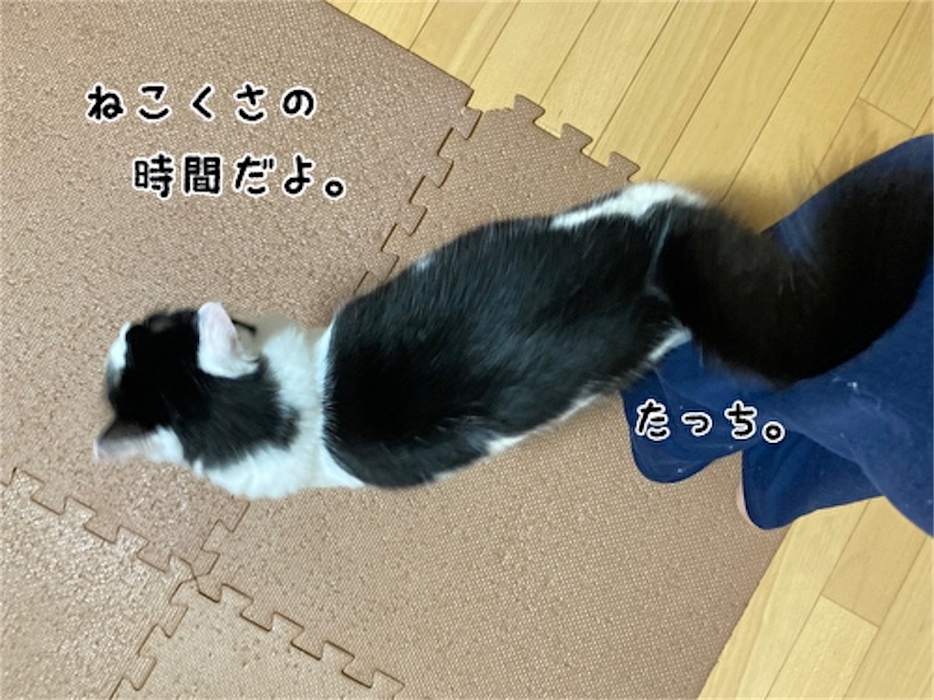 f:id:fukufukudo:20210628192606j:plain