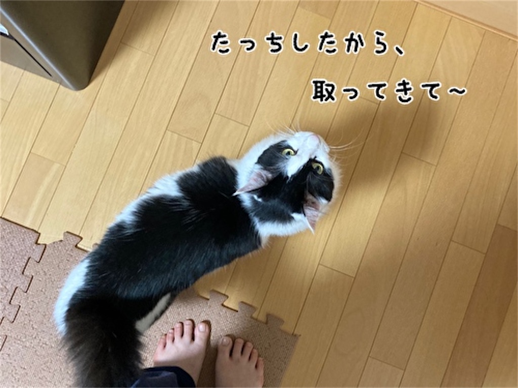 f:id:fukufukudo:20210628192619j:plain