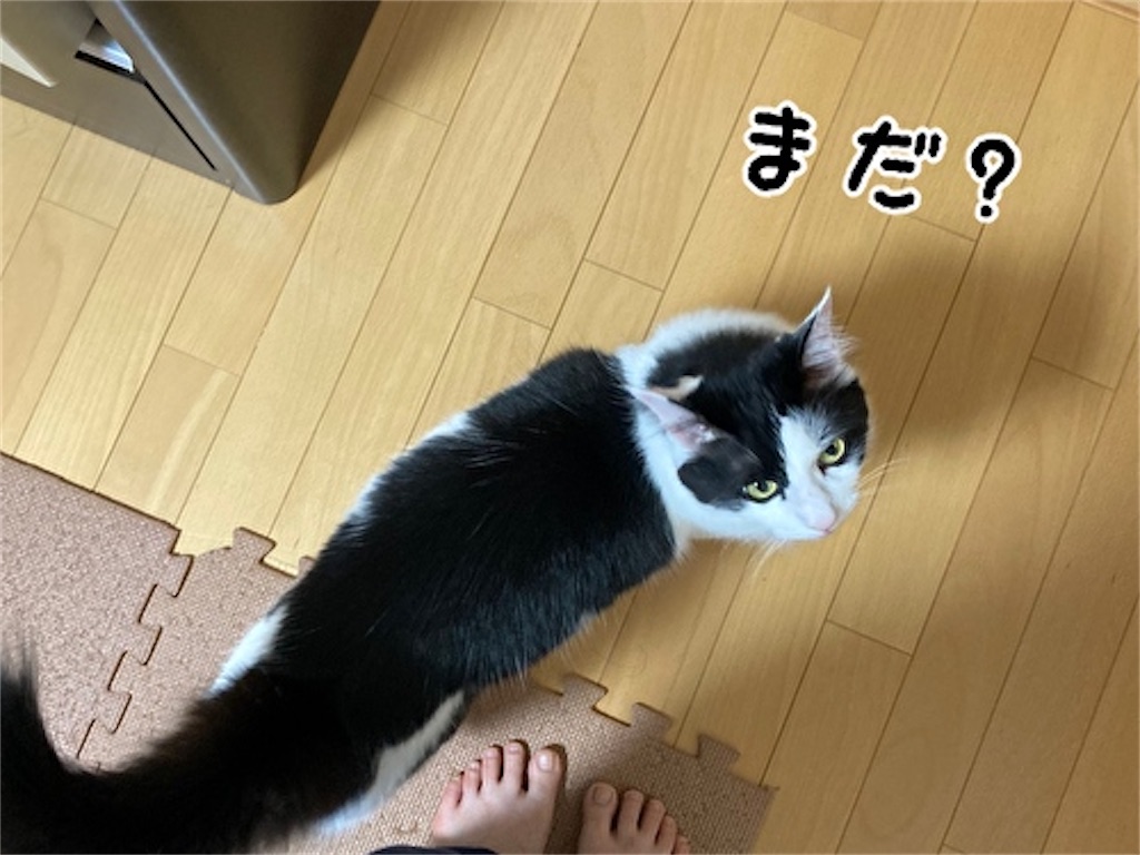f:id:fukufukudo:20210628192641j:plain