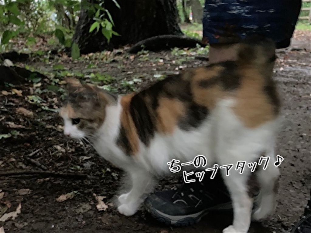 f:id:fukufukudo:20210701171559j:plain