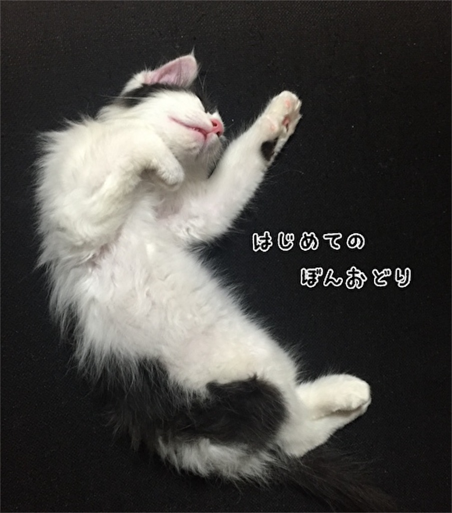 f:id:fukufukudo:20210704104315j:plain