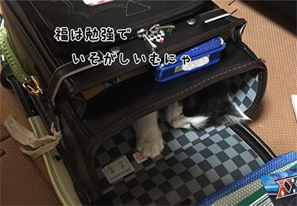 f:id:fukufukudo:20210704104400j:plain