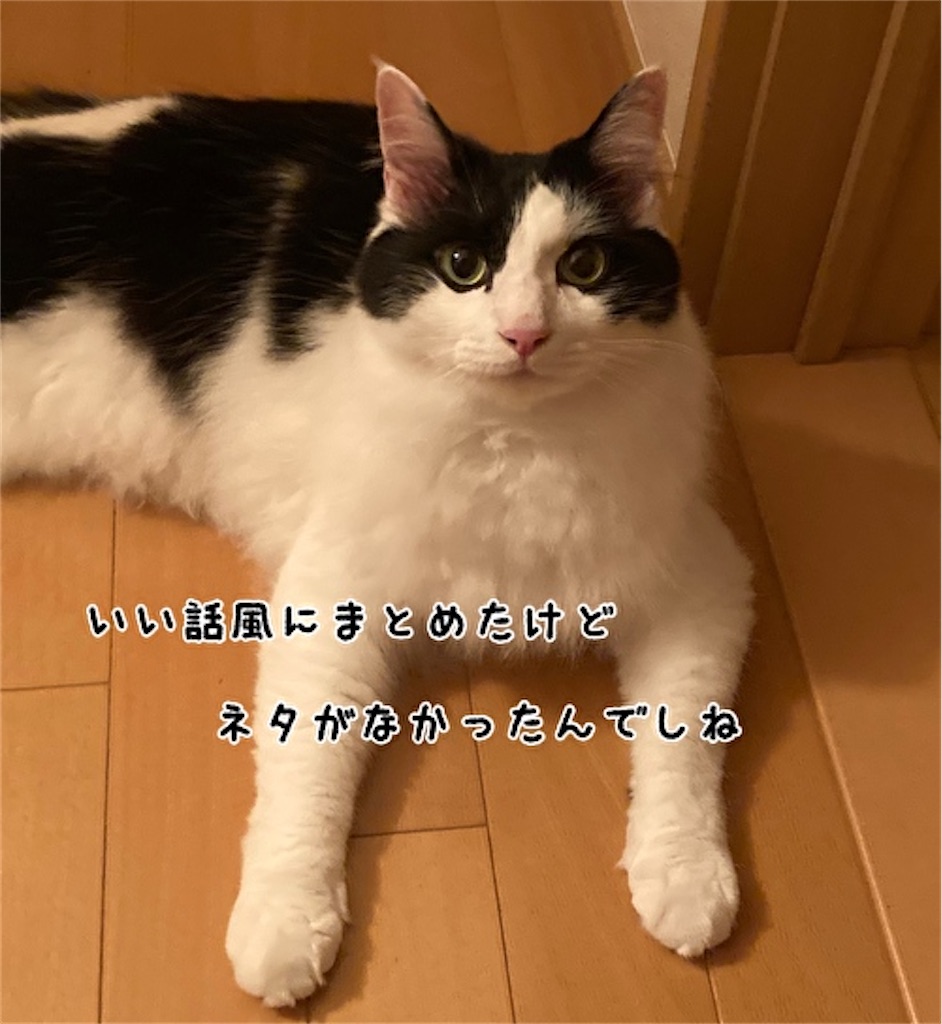 f:id:fukufukudo:20210704122649j:plain
