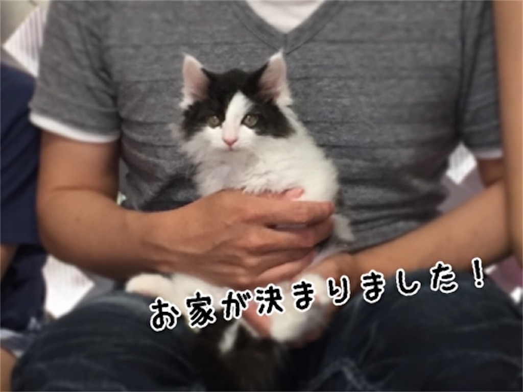 f:id:fukufukudo:20210705075943j:plain