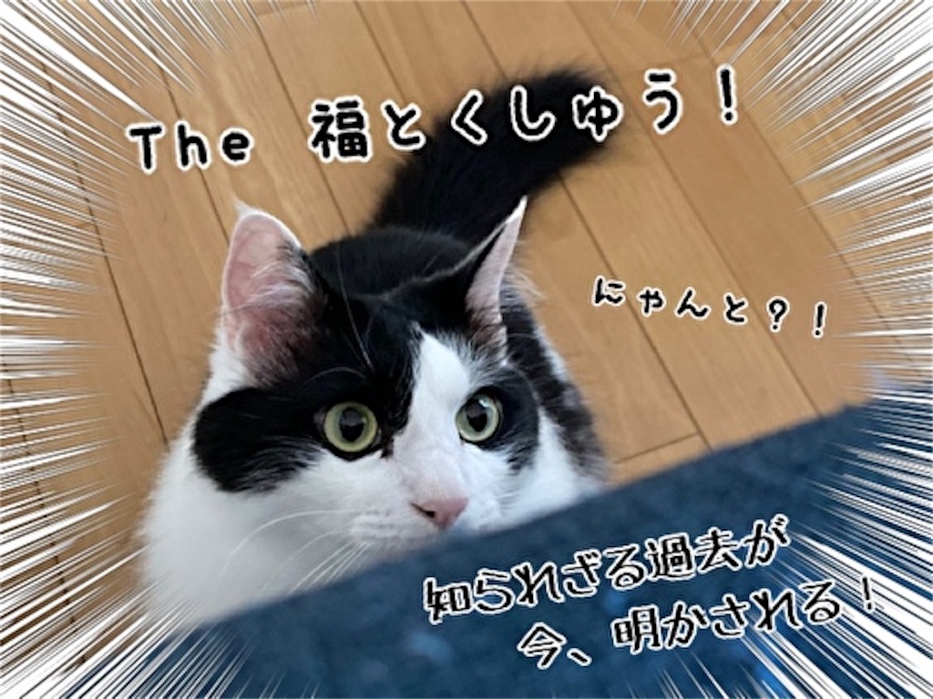 f:id:fukufukudo:20210705152719j:plain