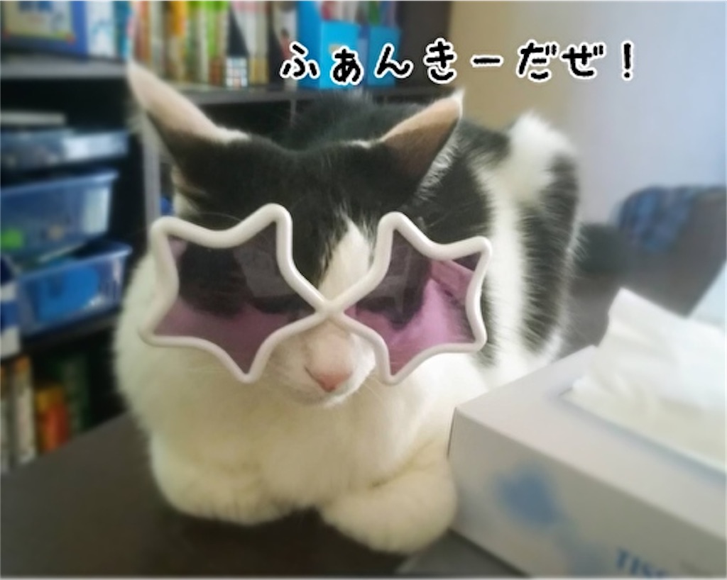 f:id:fukufukudo:20210705153452j:plain