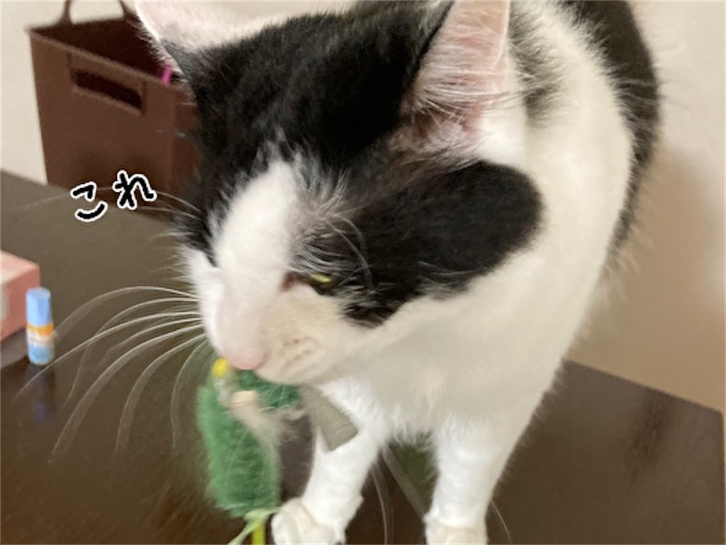 f:id:fukufukudo:20210706074119j:plain