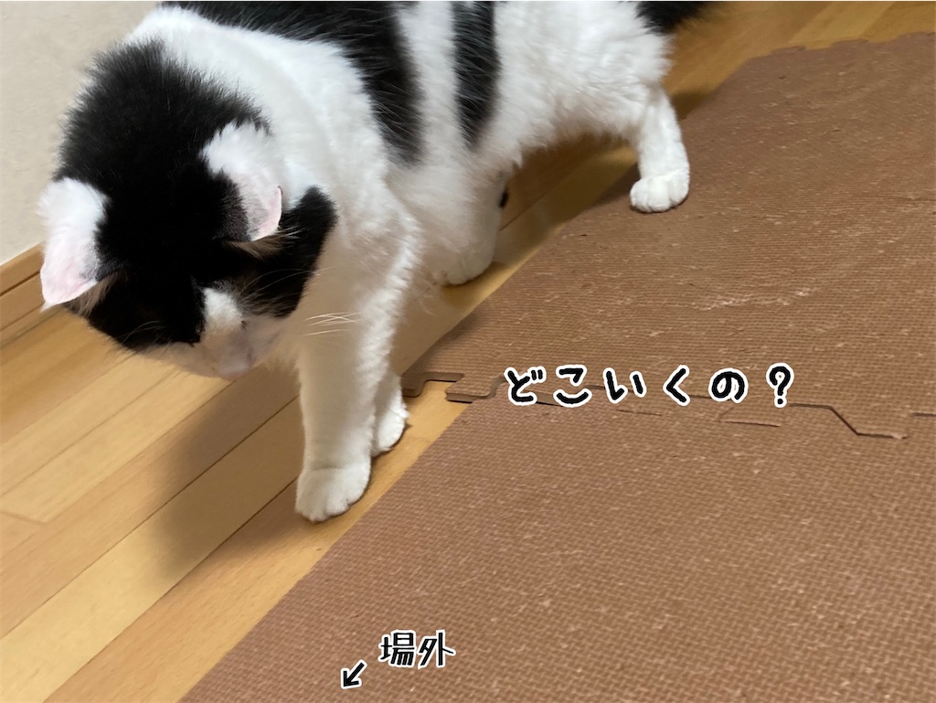 f:id:fukufukudo:20210709154847j:plain