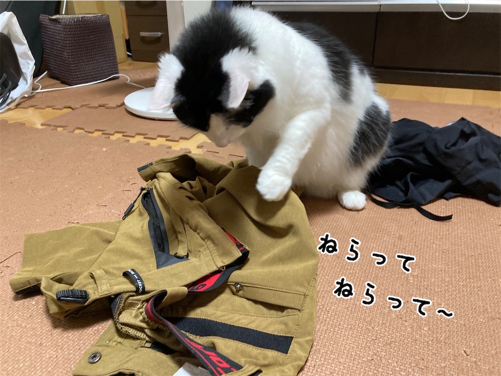 f:id:fukufukudo:20210709154859j:plain