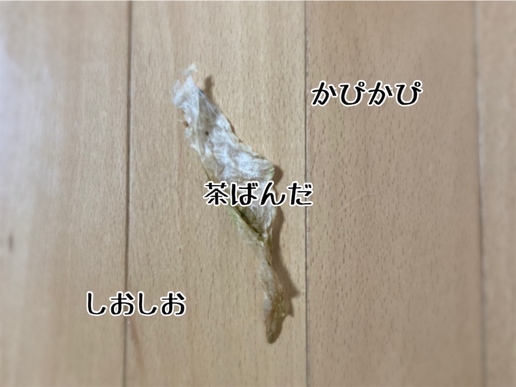 f:id:fukufukudo:20210712174453j:plain