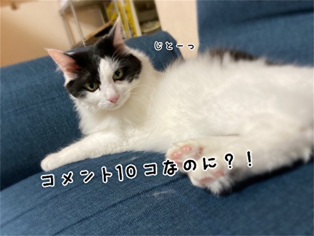 f:id:fukufukudo:20210713145723j:plain