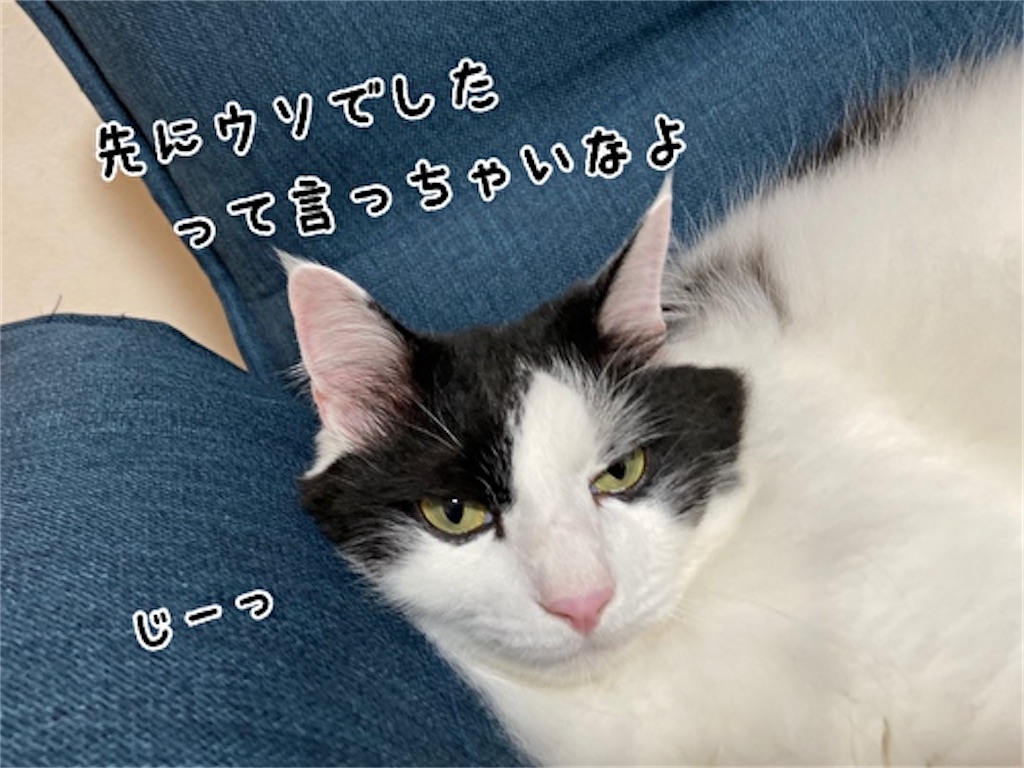 f:id:fukufukudo:20210713145739j:plain