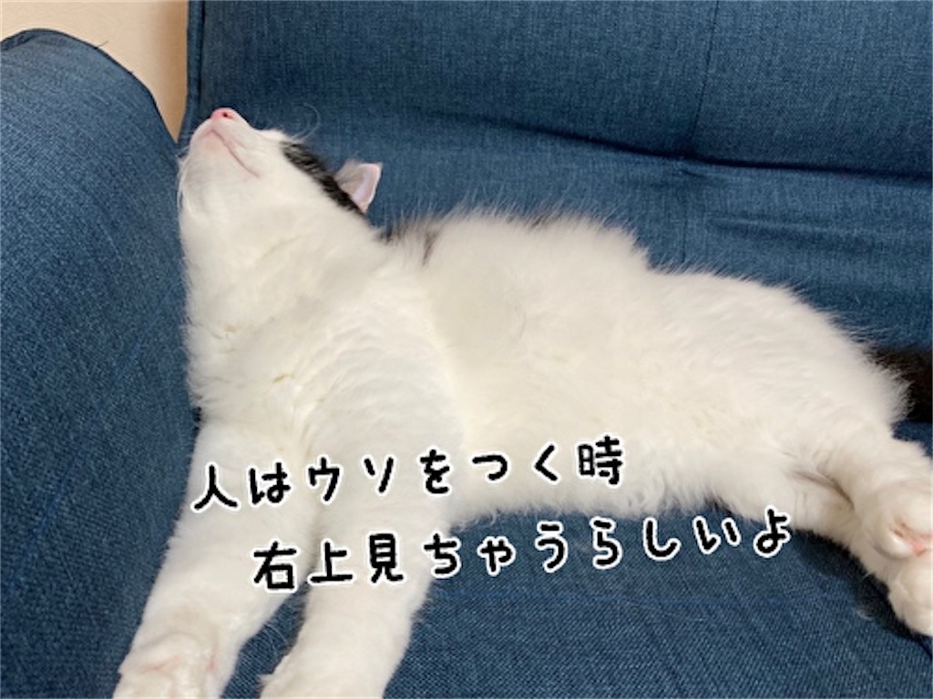 f:id:fukufukudo:20210714154329j:plain