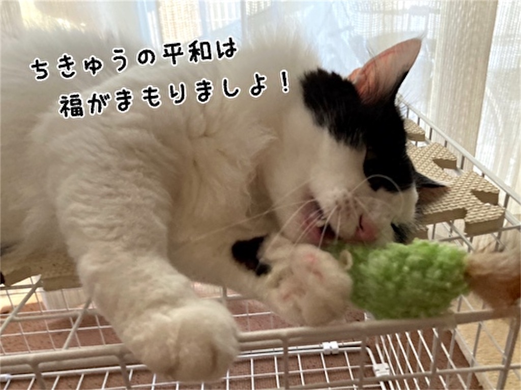 f:id:fukufukudo:20210723080003j:plain
