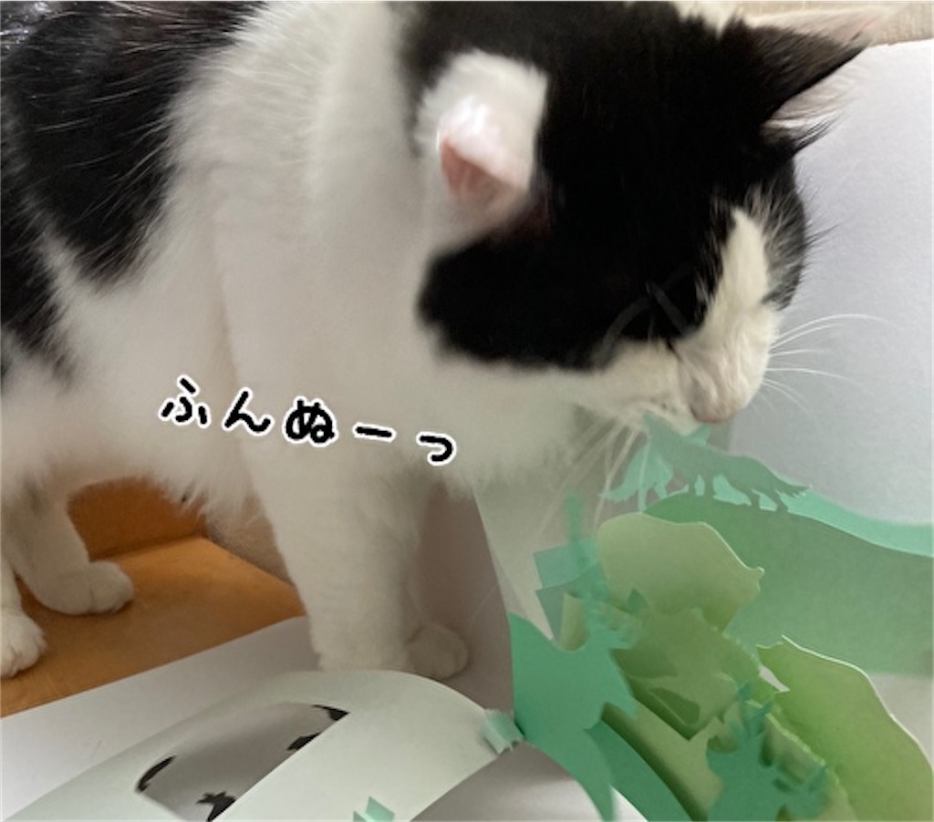 f:id:fukufukudo:20210724152911j:plain